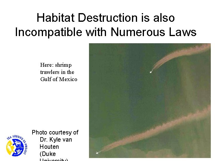 Habitat Destruction is also Incompatible with Numerous Laws Here: shrimp trawlers in the Gulf