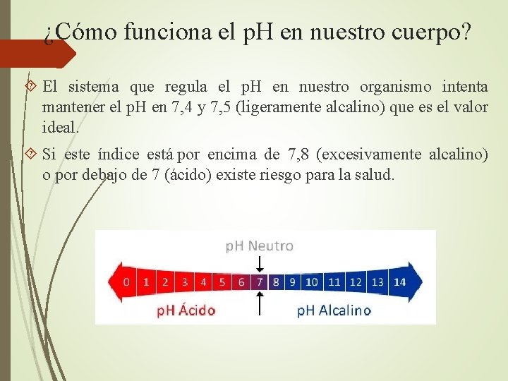 ¿Cómo funciona el p. H en nuestro cuerpo? El sistema que regula el p.