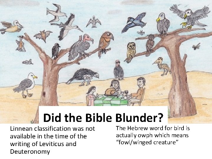 Did the Bible Blunder? Linnean classification was not available in the time of the