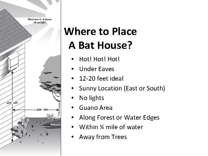 Where to Place A Bat House? • • • Hot! Under Eaves 12 -20