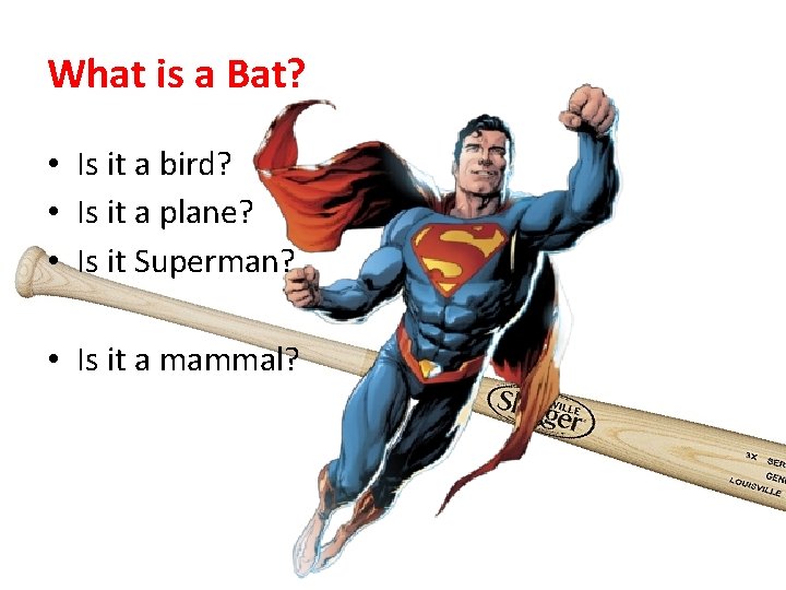What is a Bat? • Is it a bird? • Is it a plane?