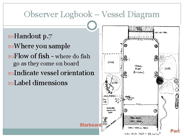 Observer Logbook – Vessel Diagram Handout p. 7 Where you sample Flow of fish