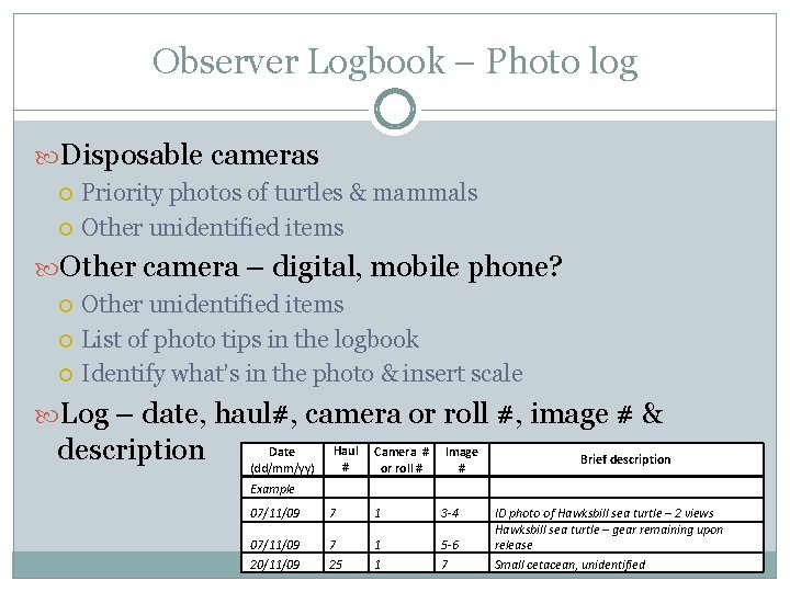 Observer Logbook – Photo log Disposable cameras Priority photos of turtles & mammals Other