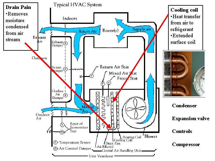 Drain Pain • Removes moisture condensed from air stream Cooling coil • Heat transfer