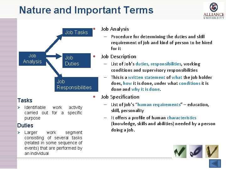 Nature and Important Terms Job Tasks Job Analysis Job Duties Job Responsibilities Tasks Ø