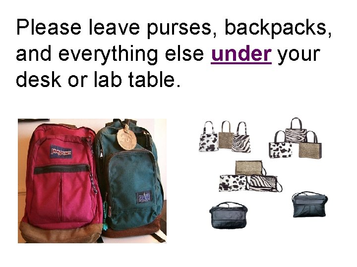 Please leave purses, backpacks, and everything else under your desk or lab table. 