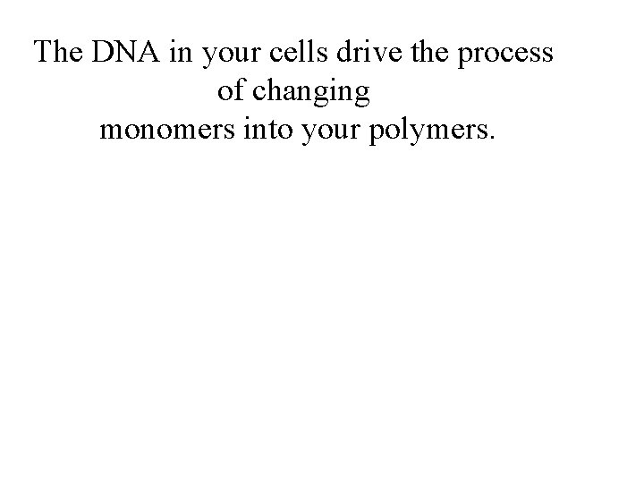 The DNA in your cells drive the process of changing monomers into your polymers.