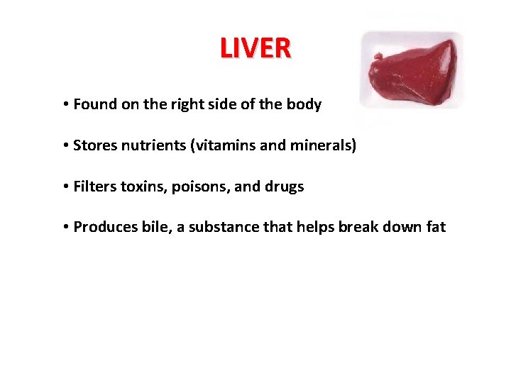 LIVER • Found on the right side of the body • Stores nutrients (vitamins
