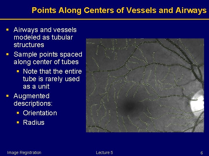 Points Along Centers of Vessels and Airways § Airways and vessels modeled as tubular