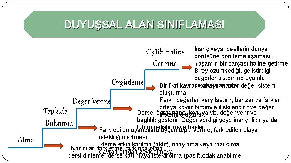 DUYUŞSAL ALAN SINIFLAMASI İnanç veya ideallerin dünya görüşüne dönüşme aşaması. Yaşamın bir parçası haline