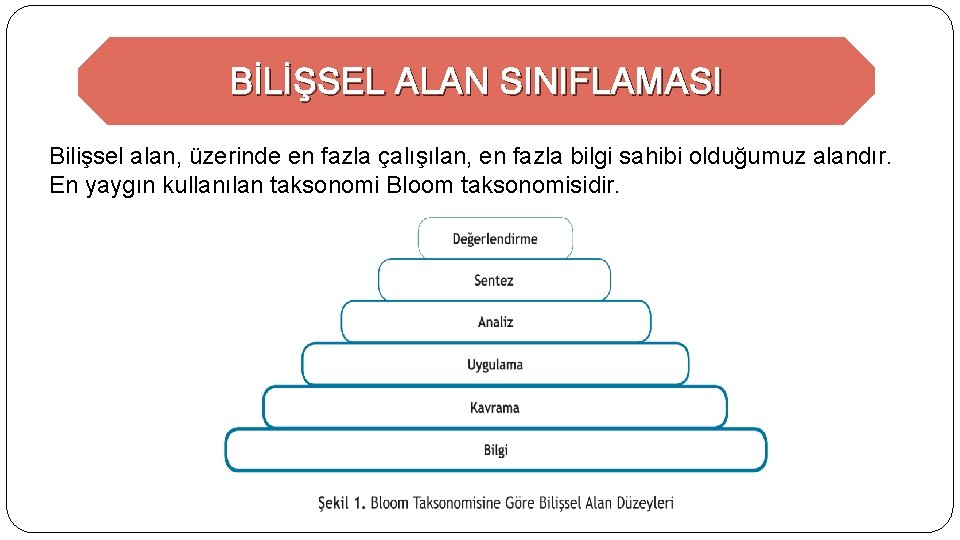 BİLİŞSEL ALAN SINIFLAMASI Bilişsel alan, üzerinde en fazla çalışılan, en fazla bilgi sahibi olduğumuz