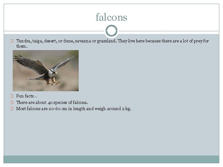 falcons � Tundra, taiga, desert, or dune, savanna or grassland. They live here because