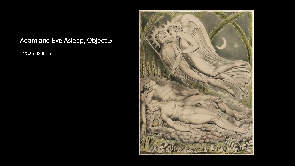 Adam and Eve Asleep, Object 5 49. 2 x 38. 8 cm 