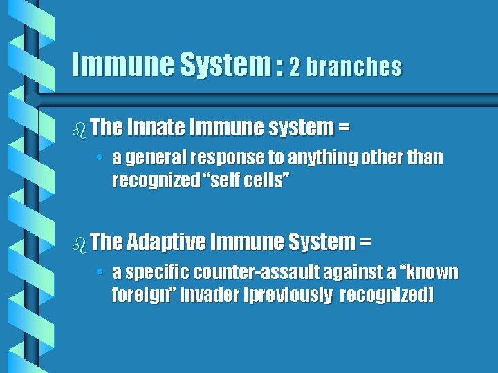 Immune System : 2 branches b The Innate Immune system = • a general