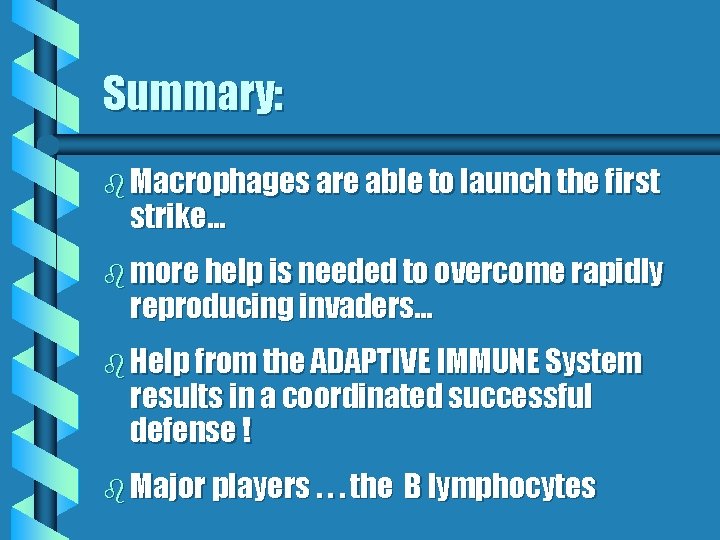 Summary: b Macrophages are able to launch the first strike… b more help is