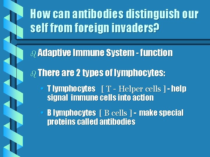 How can antibodies distinguish our self from foreign invaders? b Adaptive Immune System -