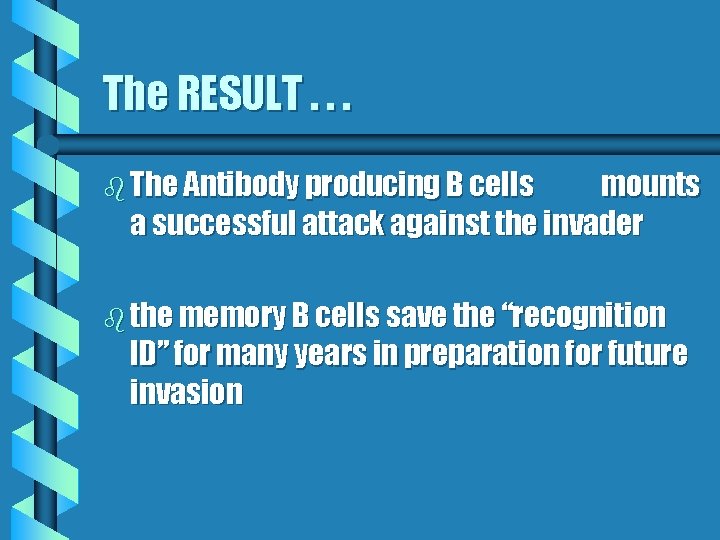 The RESULT. . . b The Antibody producing B cells mounts a successful attack
