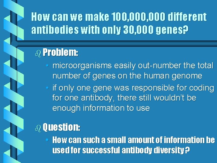 How can we make 100, 000 different antibodies with only 30, 000 genes? b