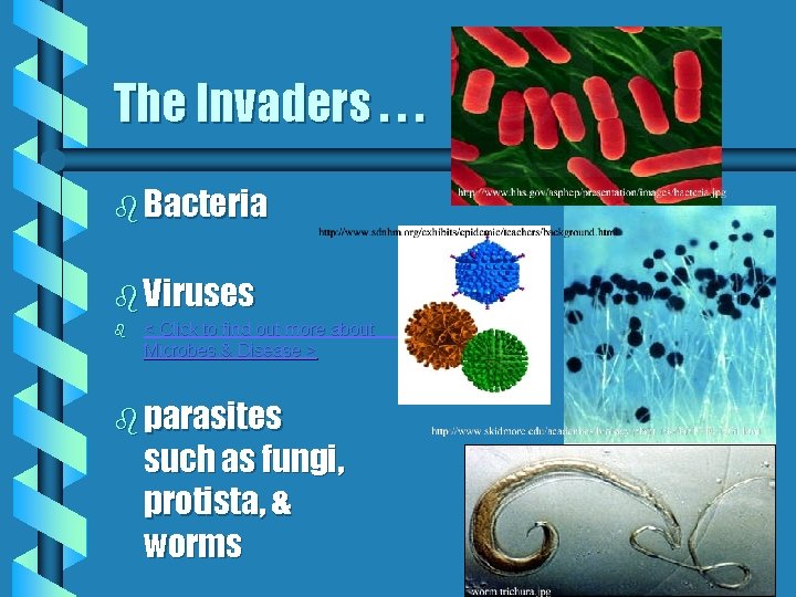 The Invaders. . . b Bacteria b Viruses b < Click to find out