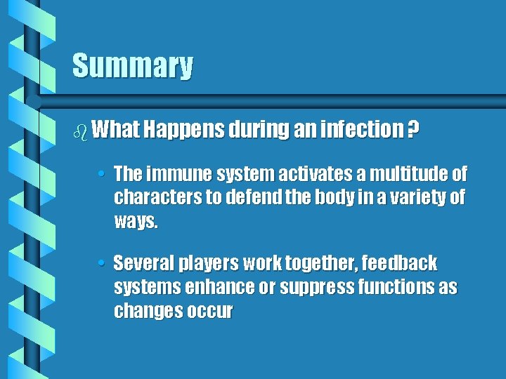 Summary b What Happens during an infection ? • The immune system activates a