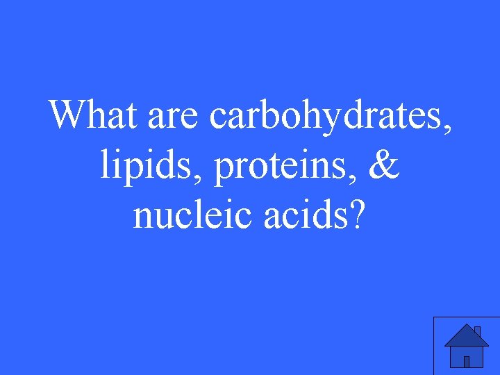 What are carbohydrates, lipids, proteins, & nucleic acids? 15 What are carbohydrates, lipids, proteins, & nucleic acids? 15
