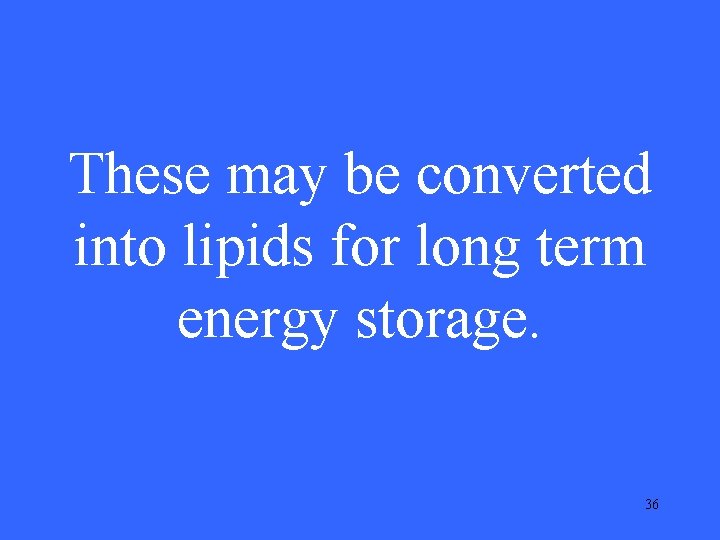 These may be converted into lipids for long term energy storage. 36 These may be converted into lipids for long term energy storage. 36