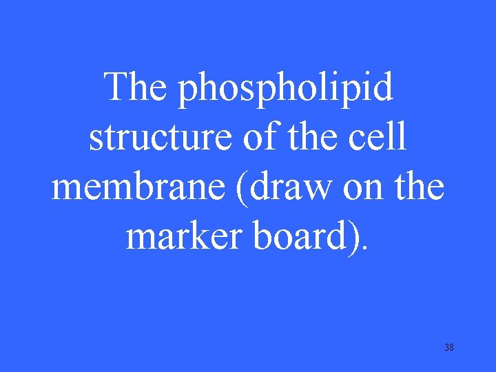 The phospholipid structure of the cell membrane (draw on the marker board). 38 The phospholipid structure of the cell membrane (draw on the marker board). 38