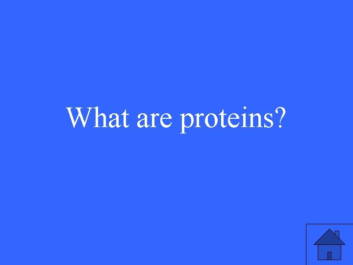 What are proteins? 43 What are proteins? 43