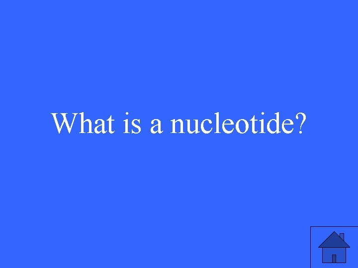 What is a nucleotide? 45 What is a nucleotide? 45