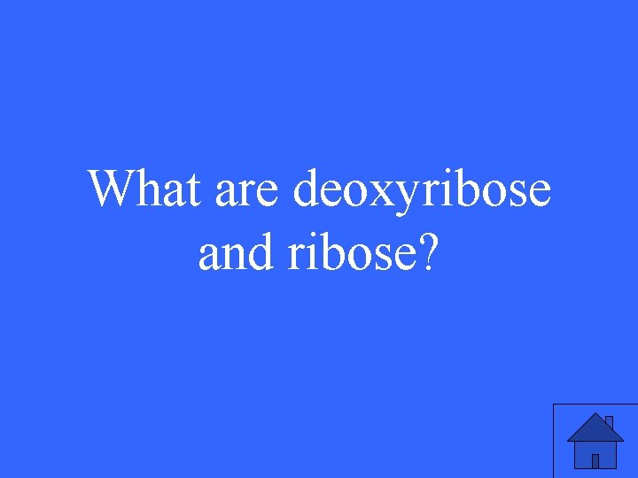 What are deoxyribose and ribose? 47 What are deoxyribose and ribose? 47