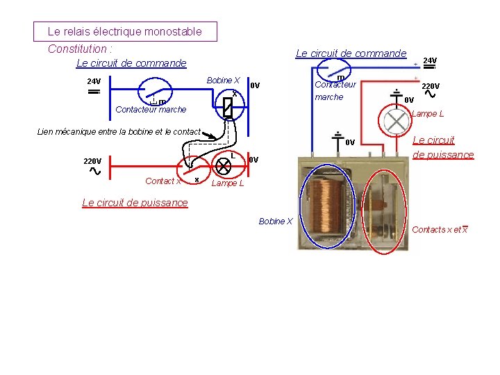 Le relais électrique monostable Constitution : Le circuit de commande Bobine X 24 V