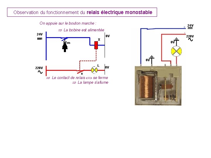 Observation du fonctionnement du relais électrique monostable On appuie sur le bouton marche :