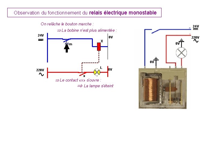 Observation du fonctionnement du relais électrique monostable On relâche le bouton marche : 24