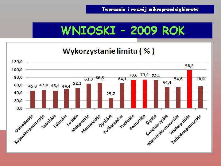 Tworzenie i rozwój mikroprzedsiębiorstw WNIOSKI – 2009 ROK 