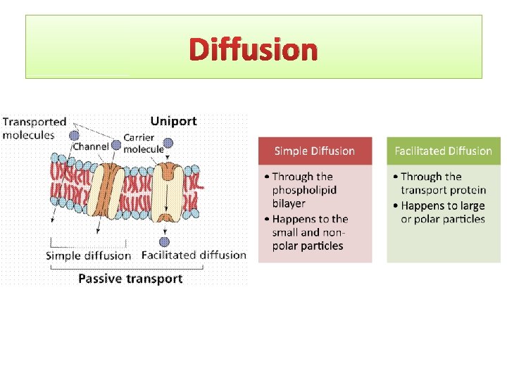 Diffusion 