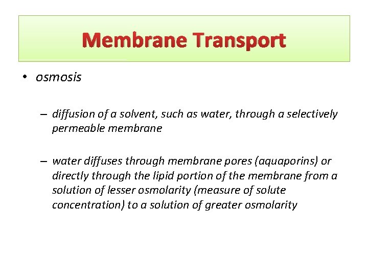 Membrane Transport • osmosis – diffusion of a solvent, such as water, through a