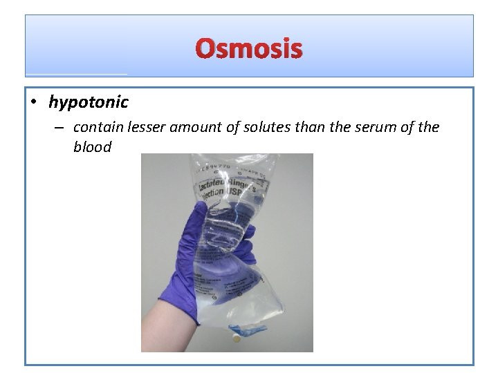 Osmosis • hypotonic – contain lesser amount of solutes than the serum of the
