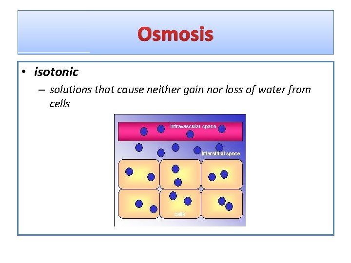 Osmosis • isotonic – solutions that cause neither gain nor loss of water from