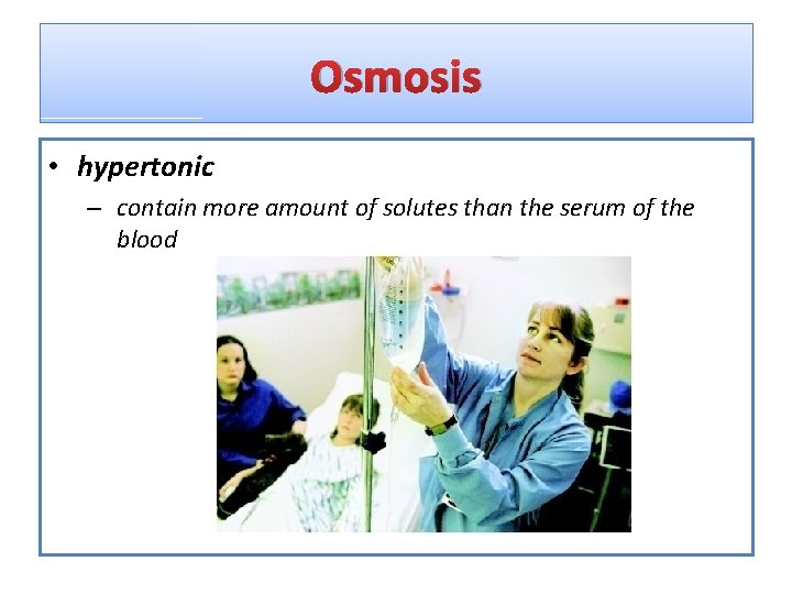 Osmosis • hypertonic – contain more amount of solutes than the serum of the