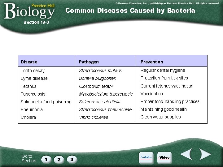 Common Diseases Caused by Bacteria Section 19 -3 Disease Pathogen Prevention Tooth decay Streptococcus