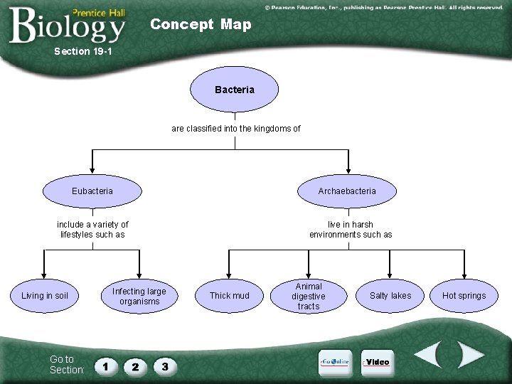 Concept Map Section 19 -1 Bacteria are classified into the kingdoms of Eubacteria Archaebacteria