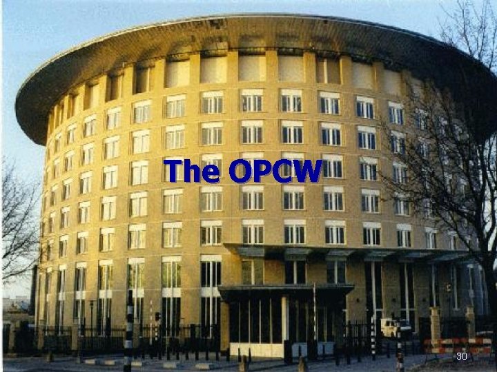 The OPCW 30 
