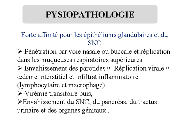 PYSIOPATHOLOGIE Forte affinité pour les épithéliums glandulaires et du SNC Ø Pénétration par voie