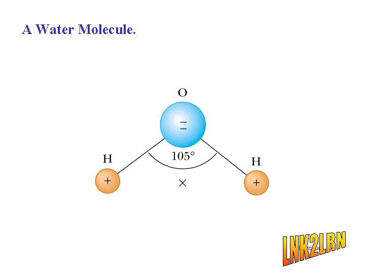 A Water Molecule. 