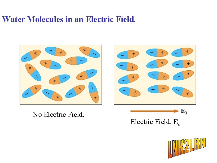 Water Molecules in an Electric Field. No Electric Field, Eo 