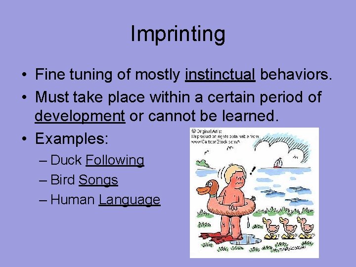 Imprinting • Fine tuning of mostly instinctual behaviors. • Must take place within a