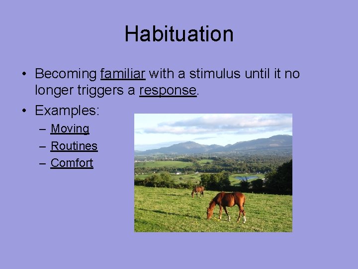 Habituation • Becoming familiar with a stimulus until it no longer triggers a response.