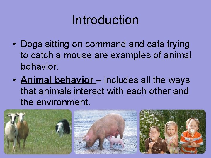 Introduction • Dogs sitting on command cats trying to catch a mouse are examples