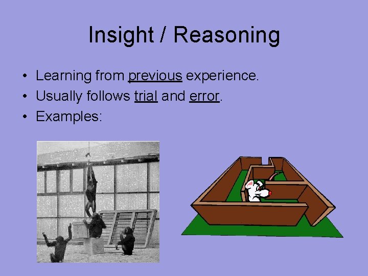 Insight / Reasoning • Learning from previous experience. • Usually follows trial and error.