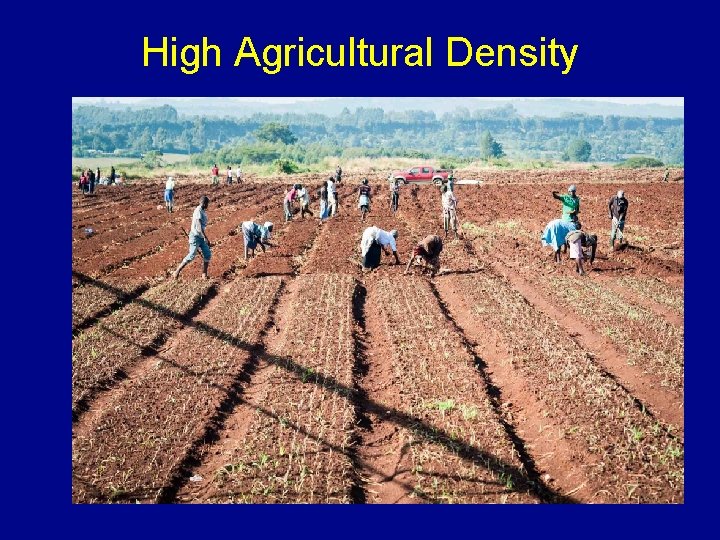 High Agricultural Density 